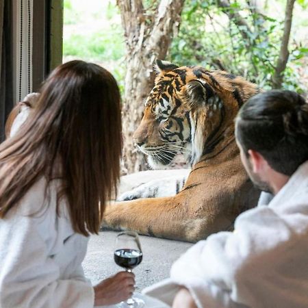 Big Cat Bungalows At The Haven - Lion 2 Canastota Экстерьер фото