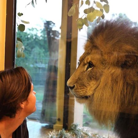 Big Cat Bungalows At The Haven - Lion 2 Canastota Экстерьер фото