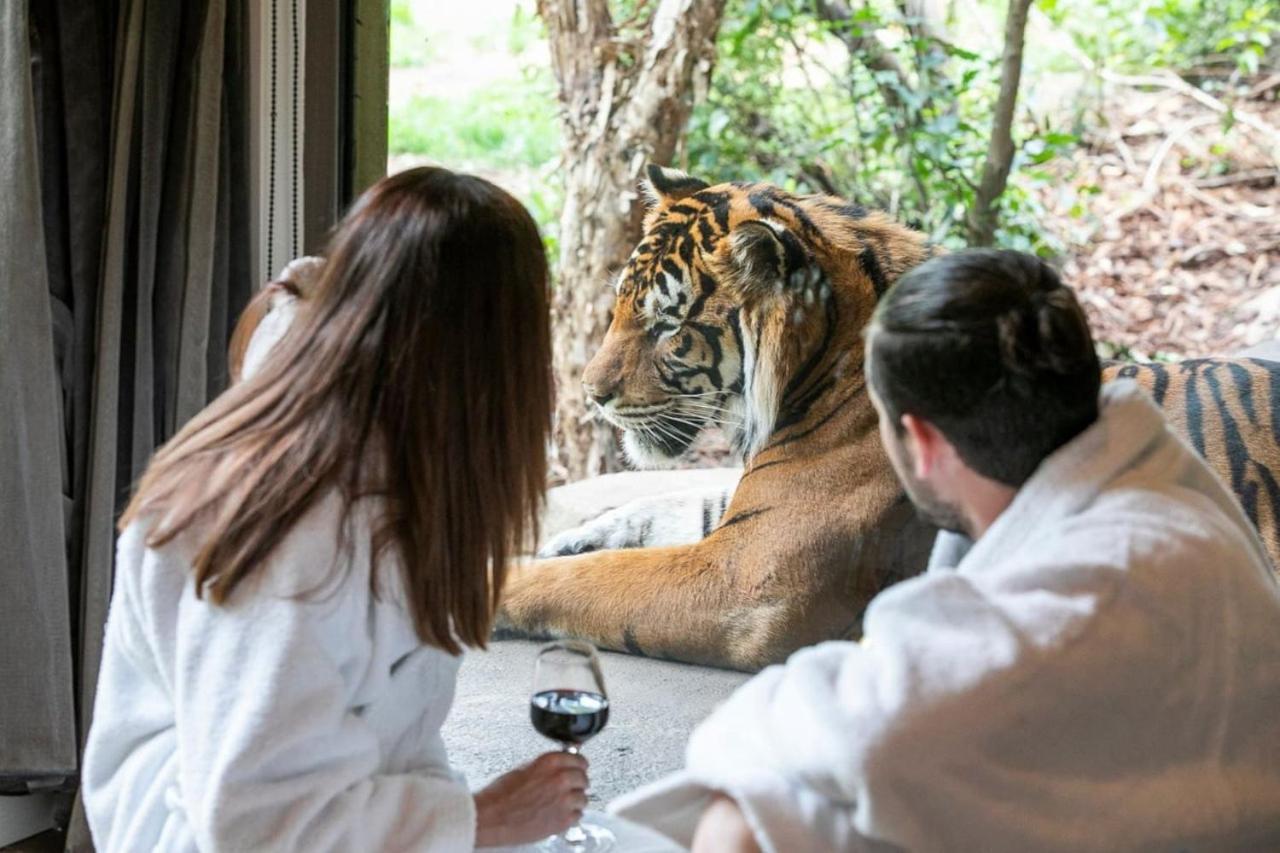Big Cat Bungalows At The Haven - Lion 2 Canastota Экстерьер фото